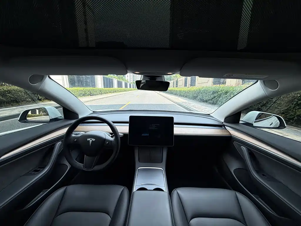 Tesla Model 3 — миниатюра 12