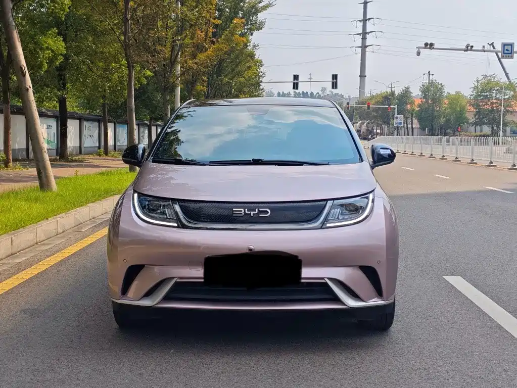 BYD Dolphin — миниатюра 2