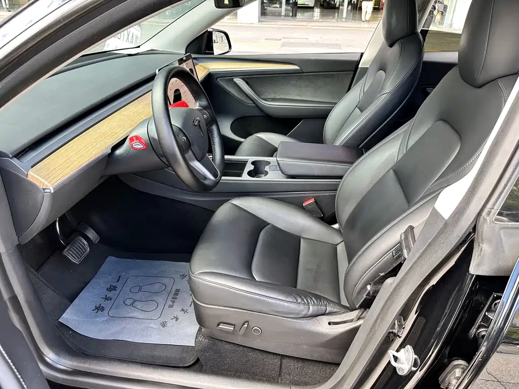 Tesla Model Y — миниатюра 9