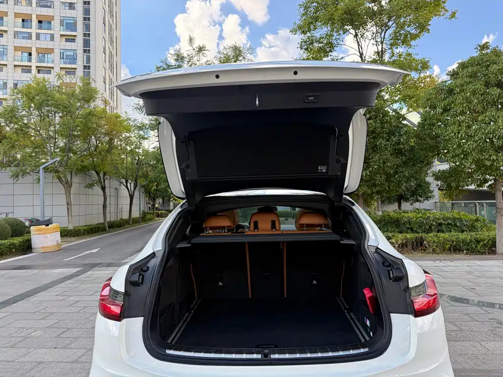 BMW X4 — миниатюра 39