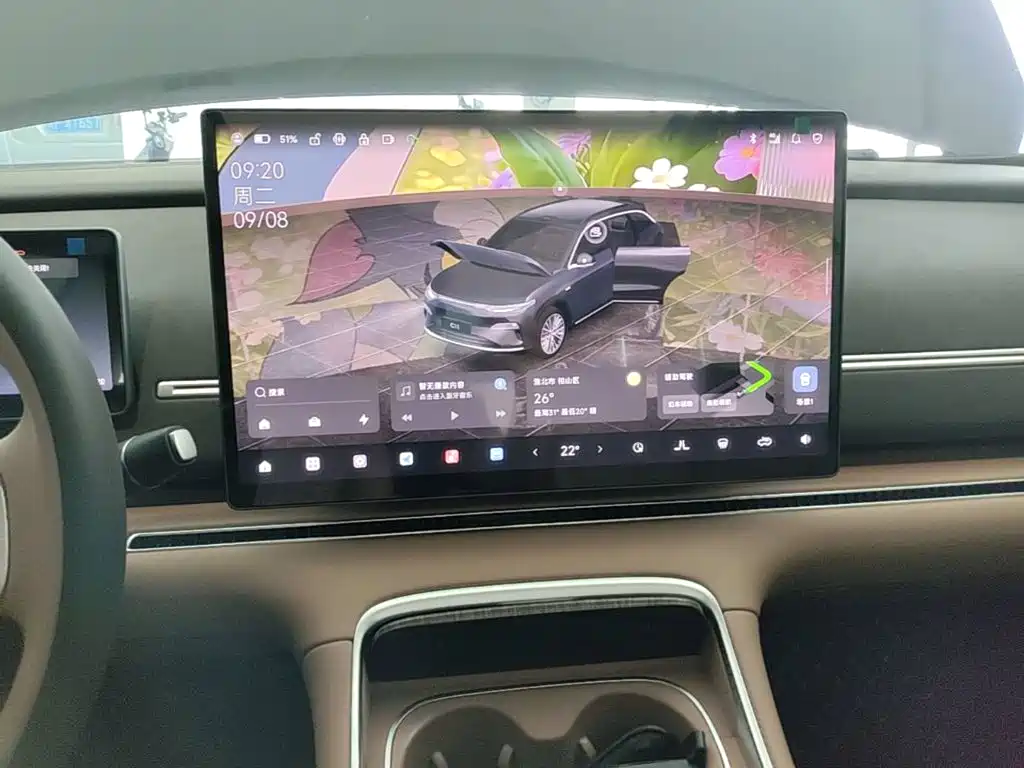 Leapmotor Leapmotor C11 — миниатюра 13