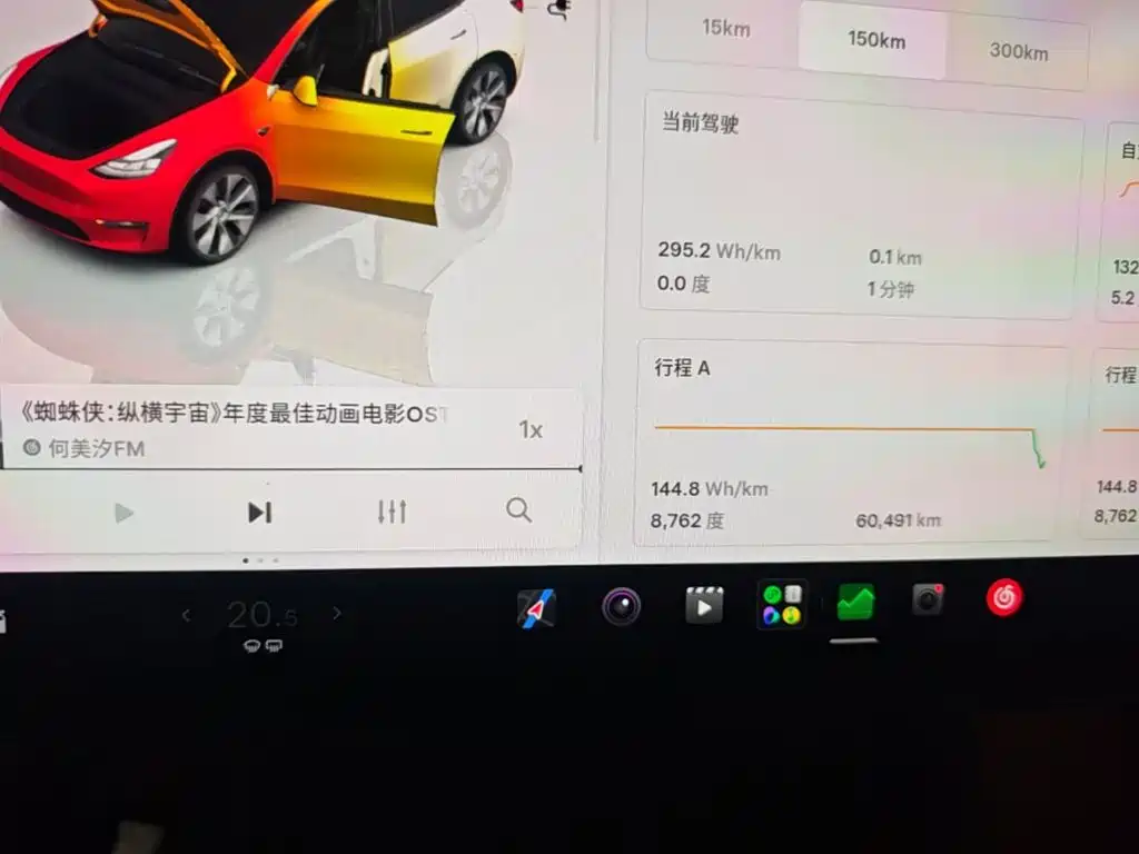 Tesla Model Y — миниатюра 12