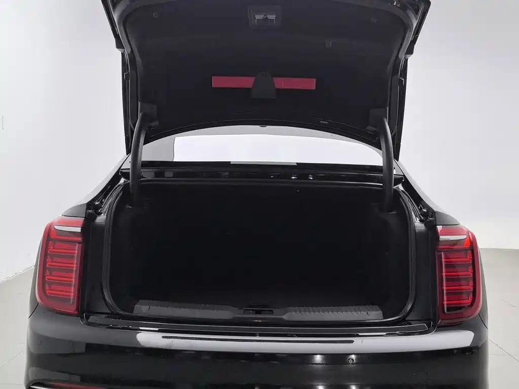Hongqi Hongqi H9 — миниатюра 16