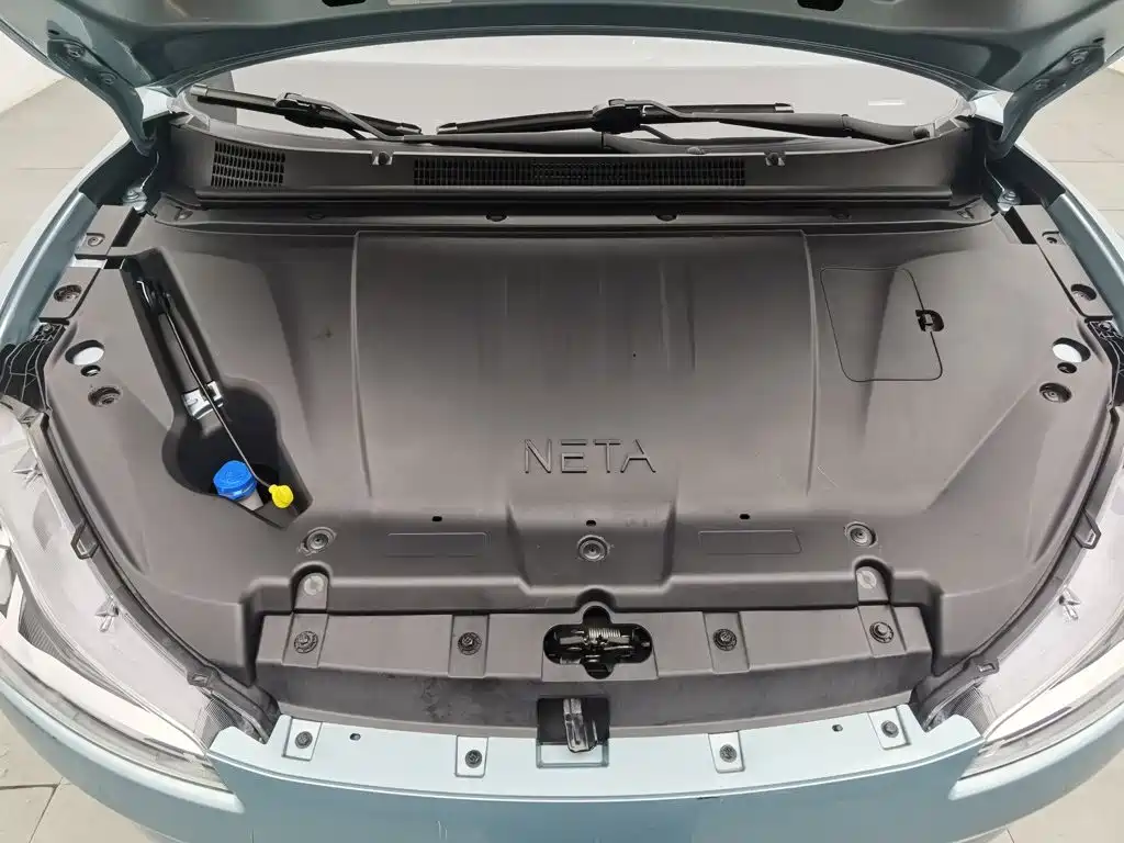 Neta Neta V — миниатюра 6