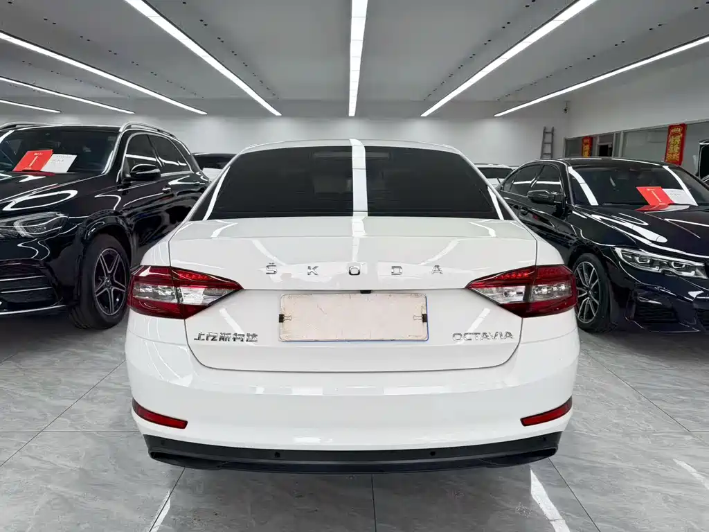 Skoda Octavia — миниатюра 5