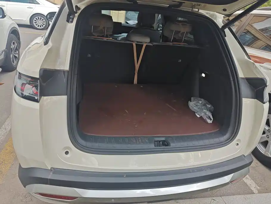 BYD Song Ultra — миниатюра 4