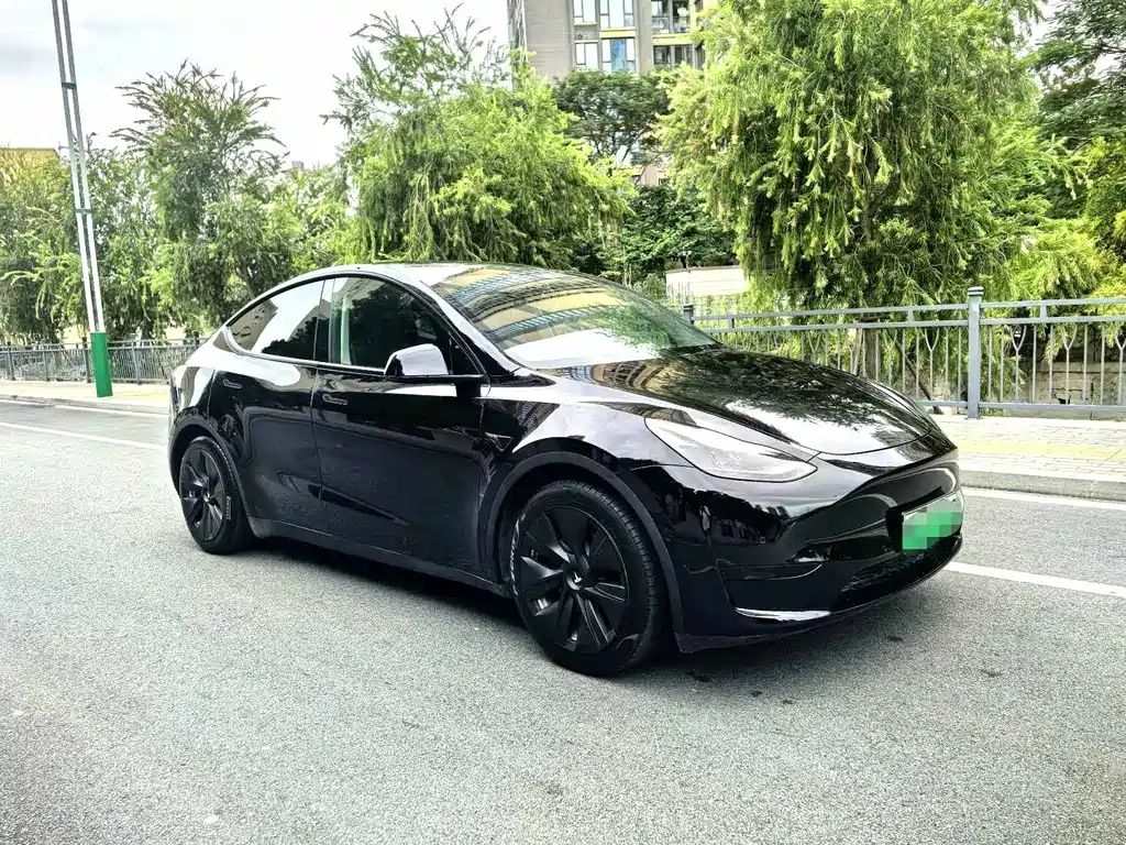Tesla Model Y — миниатюра 3