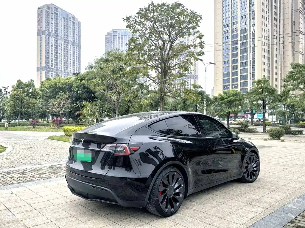 Tesla Model Y — миниатюра 6
