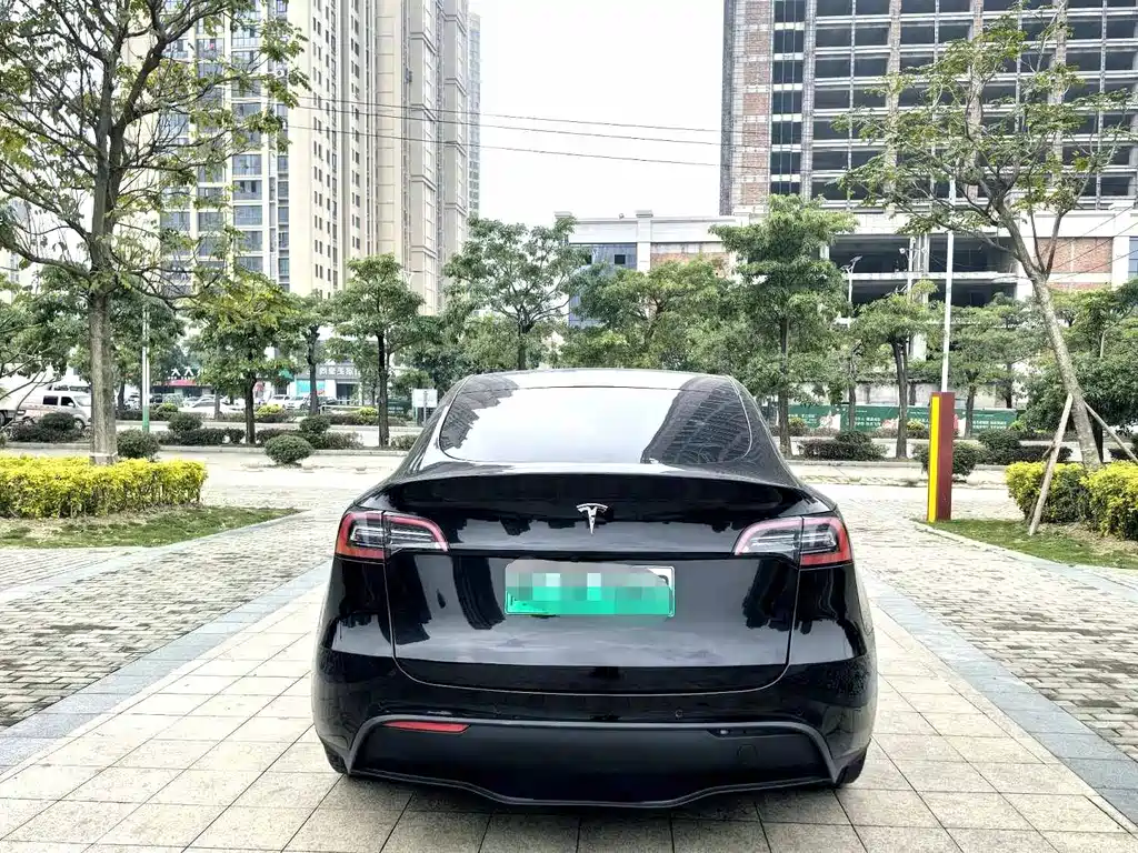 Tesla Model Y — миниатюра 4