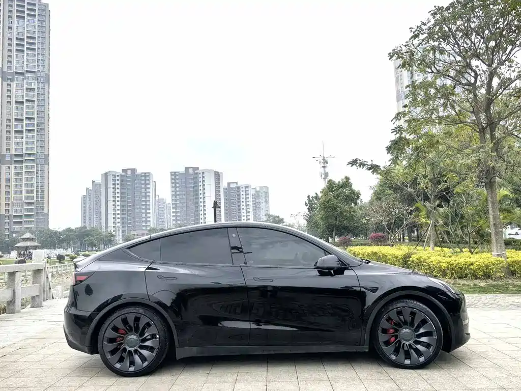 Tesla Model Y — миниатюра 3