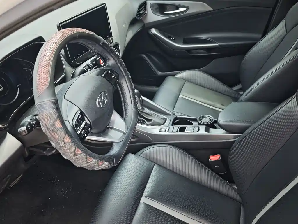 Hyundai Fista — миниатюра 6