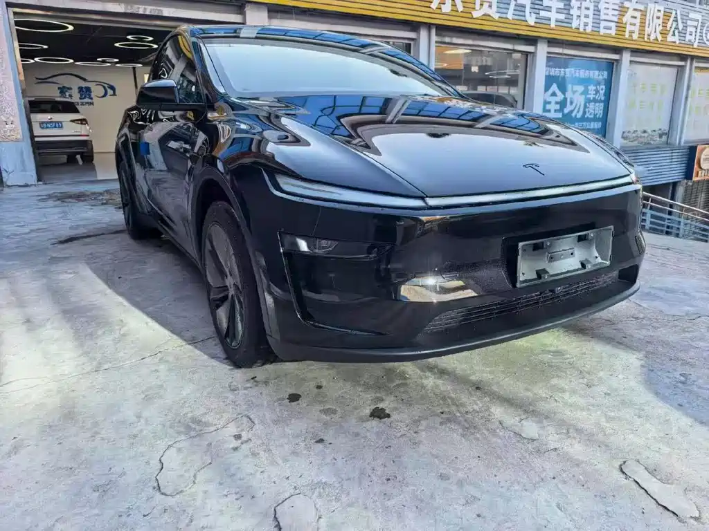 Tesla Model Y — миниатюра 3