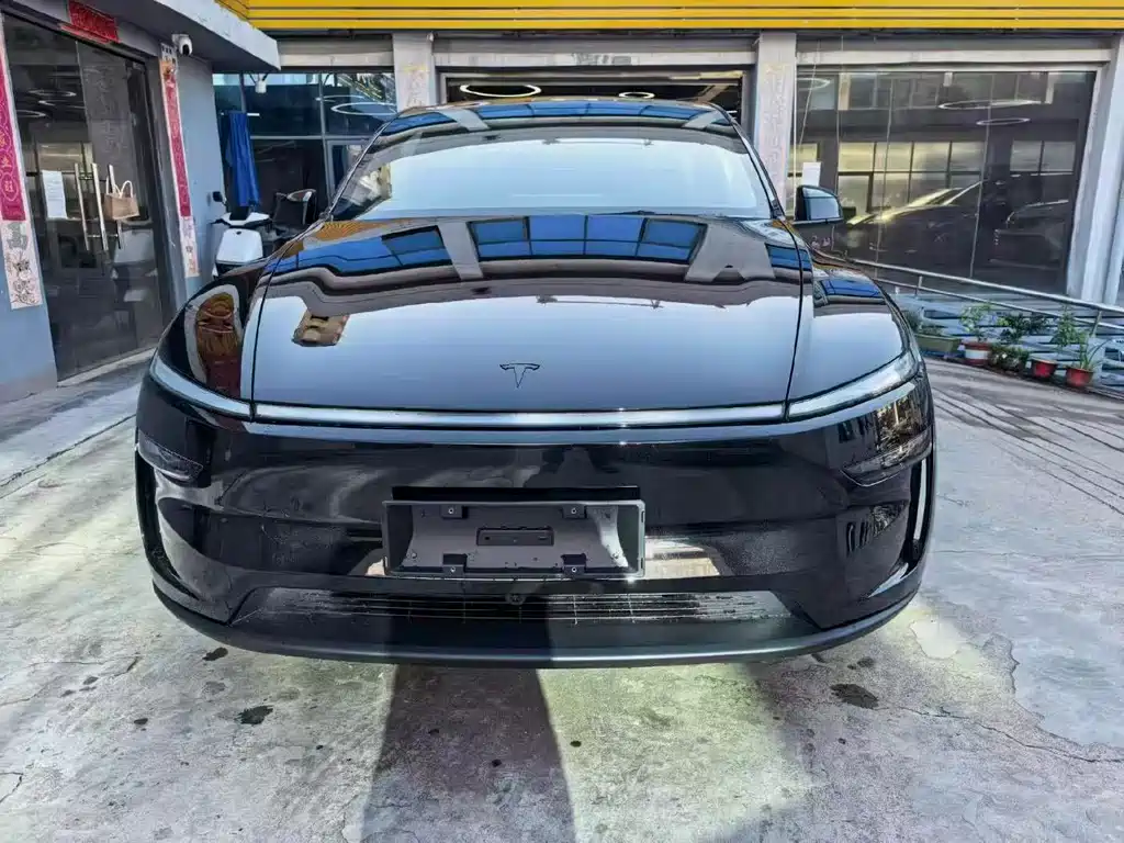 Tesla Model Y — миниатюра 2