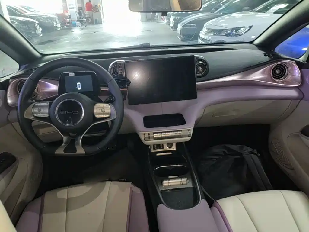 BYD Dolphin — миниатюра 10