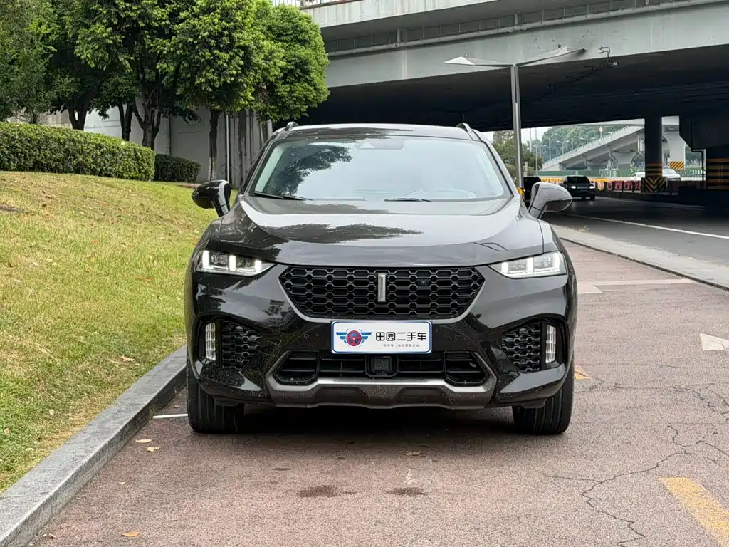 Wey Wey VV7 — миниатюра 2
