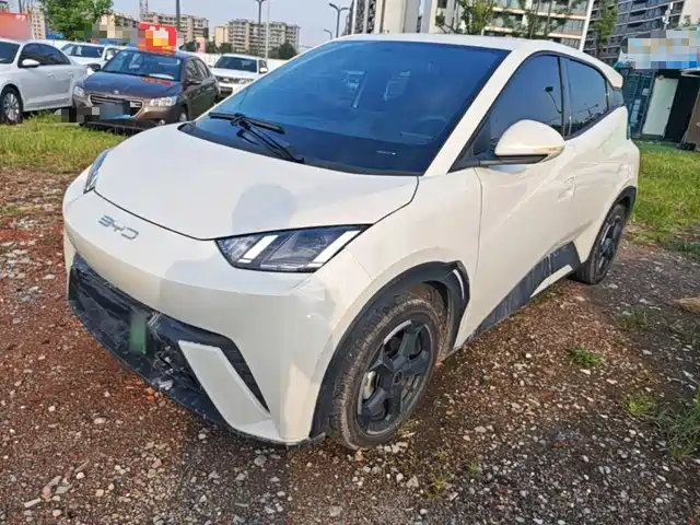 BYD Seagull