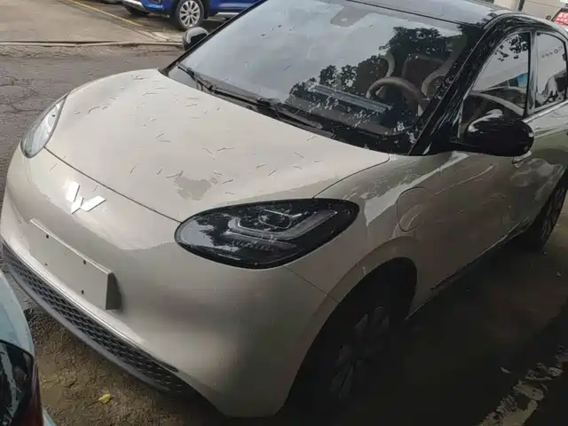 2024 Wuling Motors Binguo