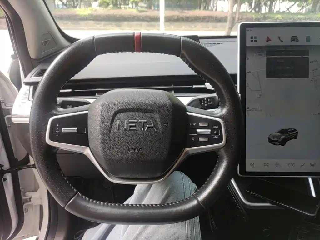 Neta Neta V — миниатюра 7