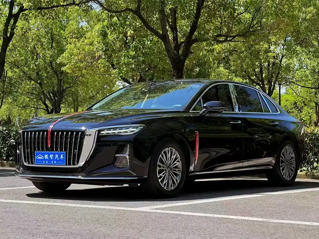 Hongqi Hongqi H5 2024