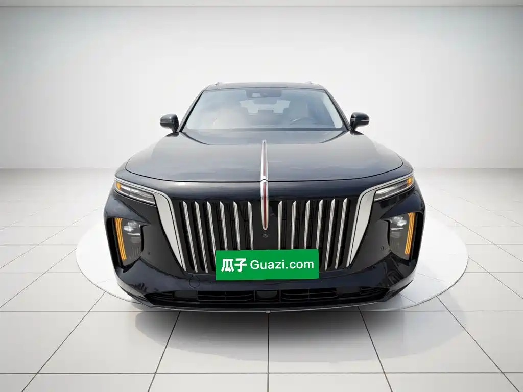 Hongqi E-HS9 2022 660km мест