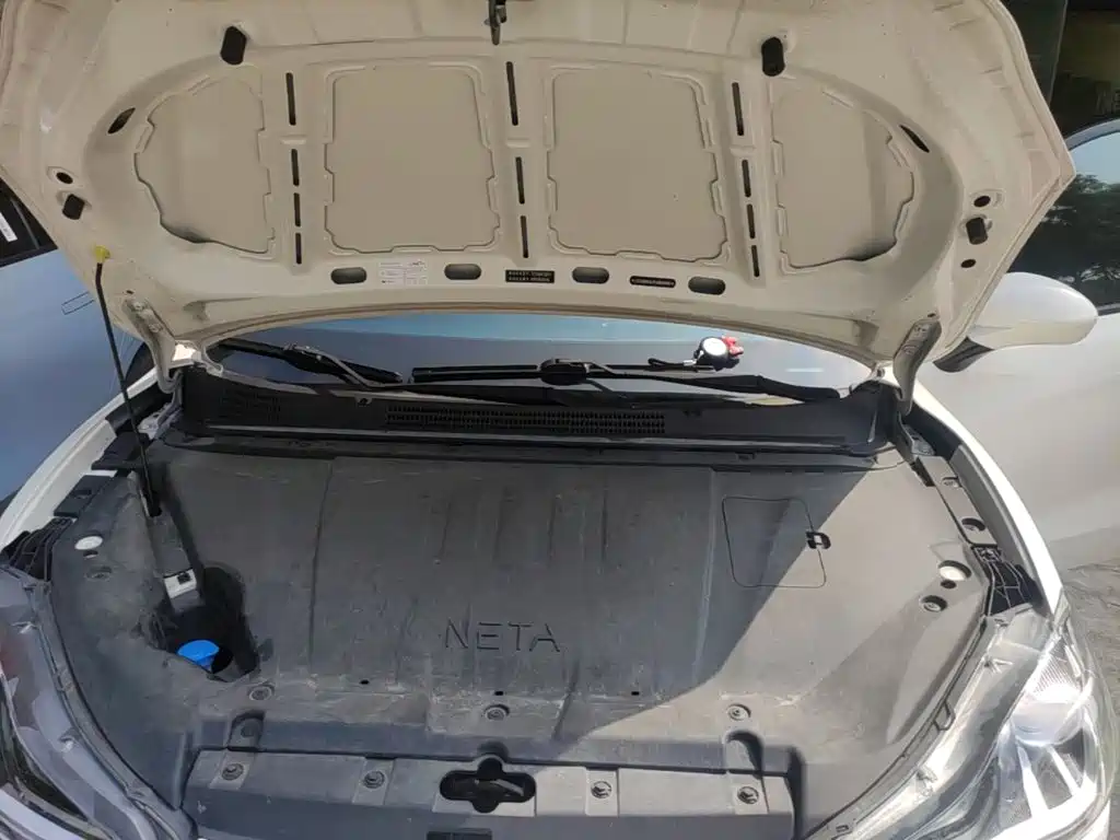 Neta Neta V — миниатюра 16