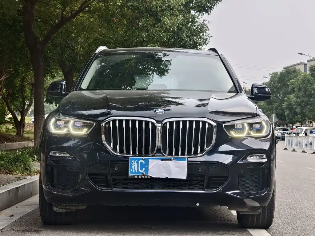 BMW X5 (Import) — миниатюра 2