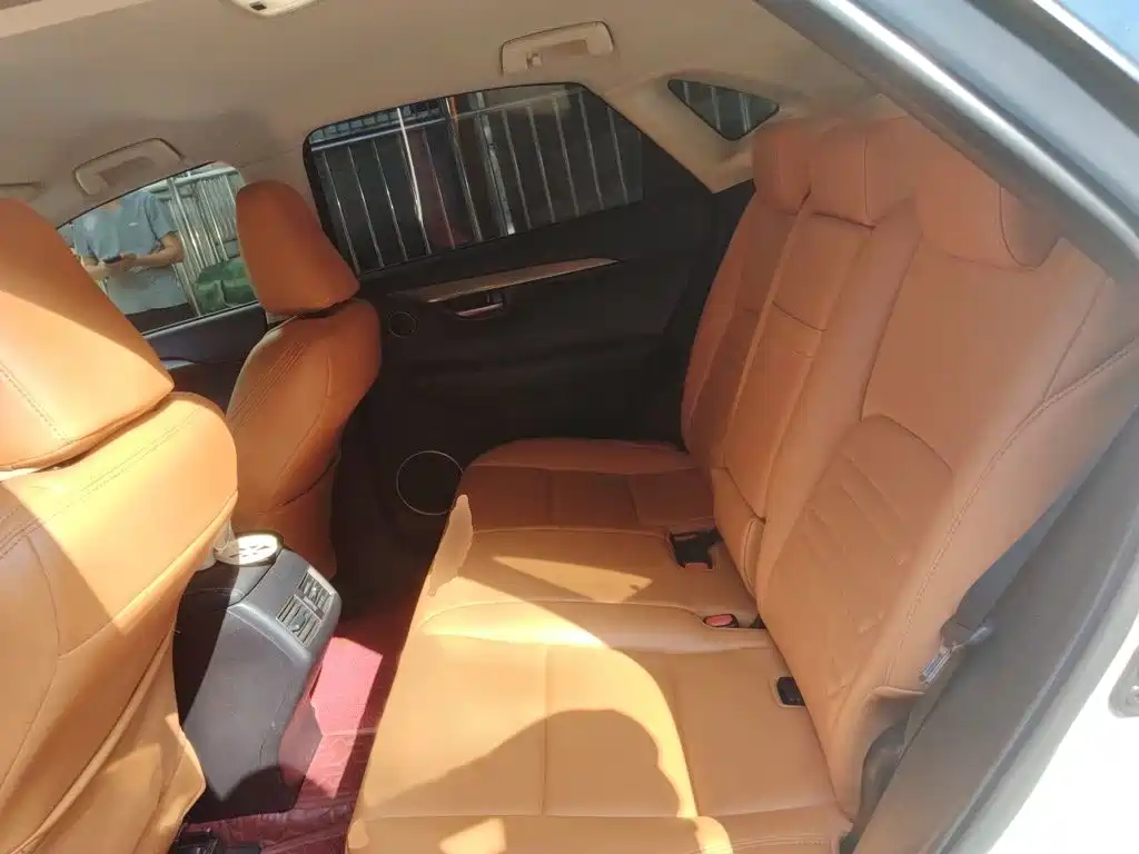 Lexus NX — миниатюра 15