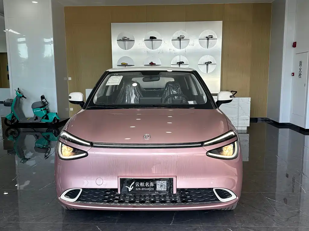 Dongfeng 01 2024 330 Plus +