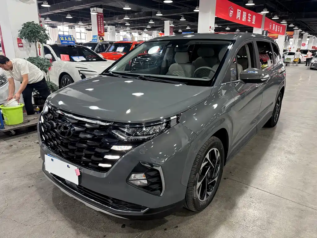 Hyundai Custo — миниатюра 2