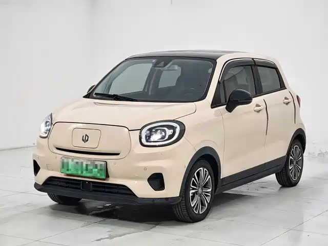 2021 Leapmotor T03