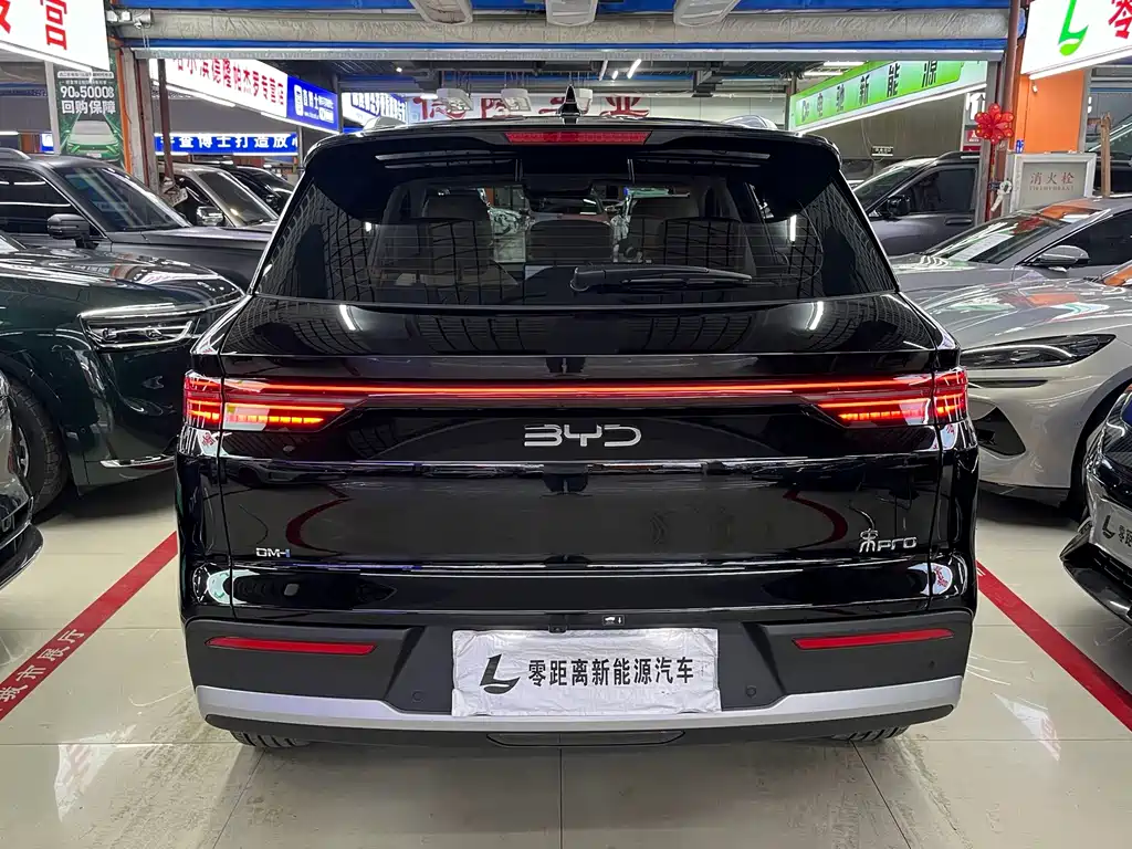 BYD Pro New Energy — миниатюра 5