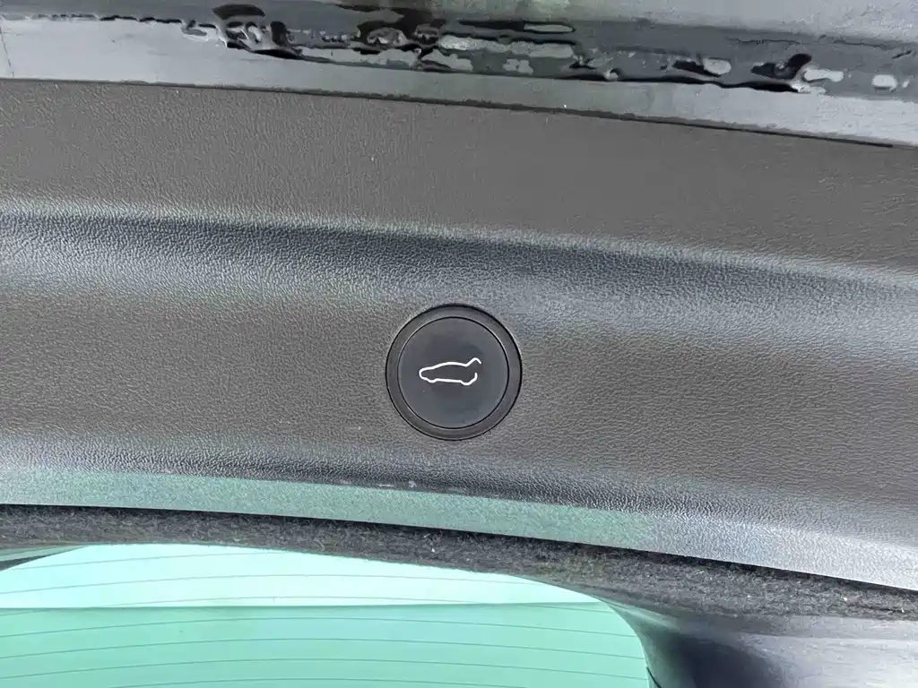 Tesla Model Y — миниатюра 29