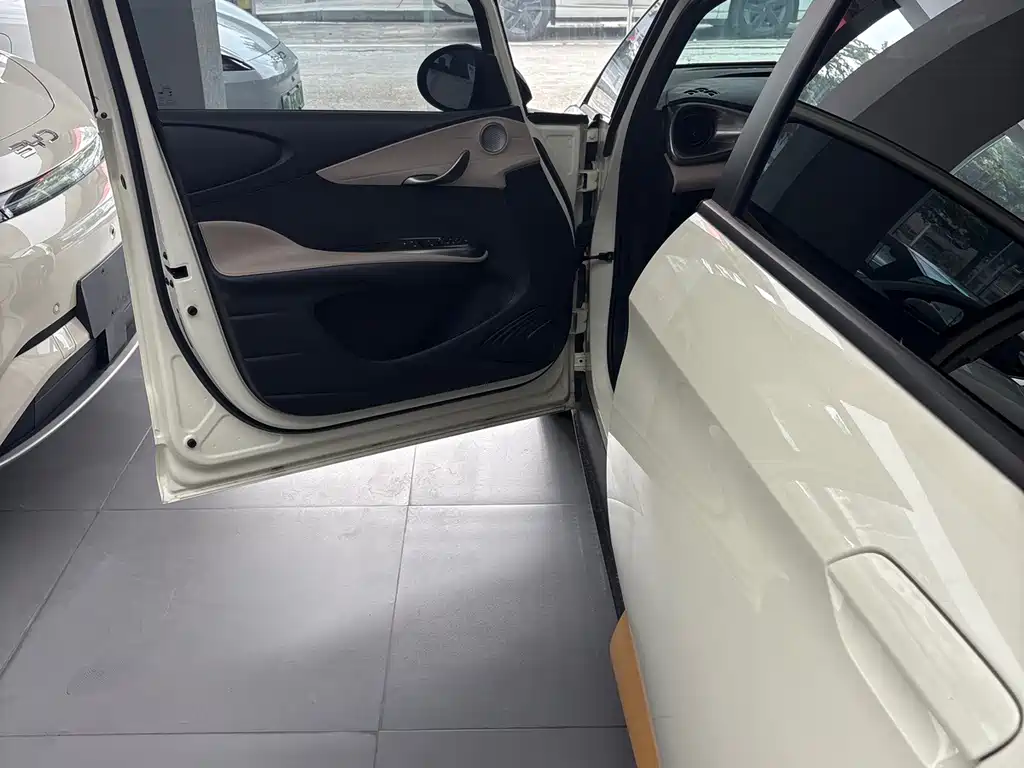 BYD Dolphin — миниатюра 6