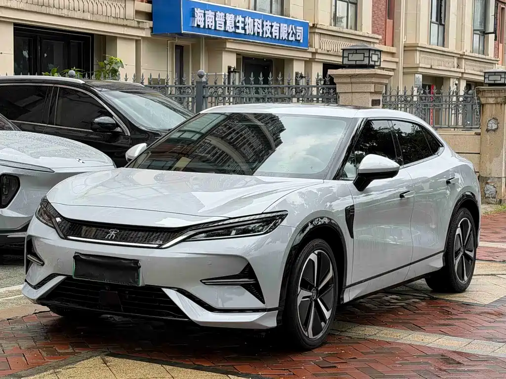 BYD L EV