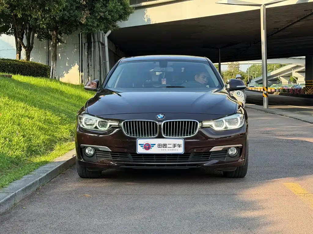 BMW 3 Series 320Li Fashion Type, фото 2