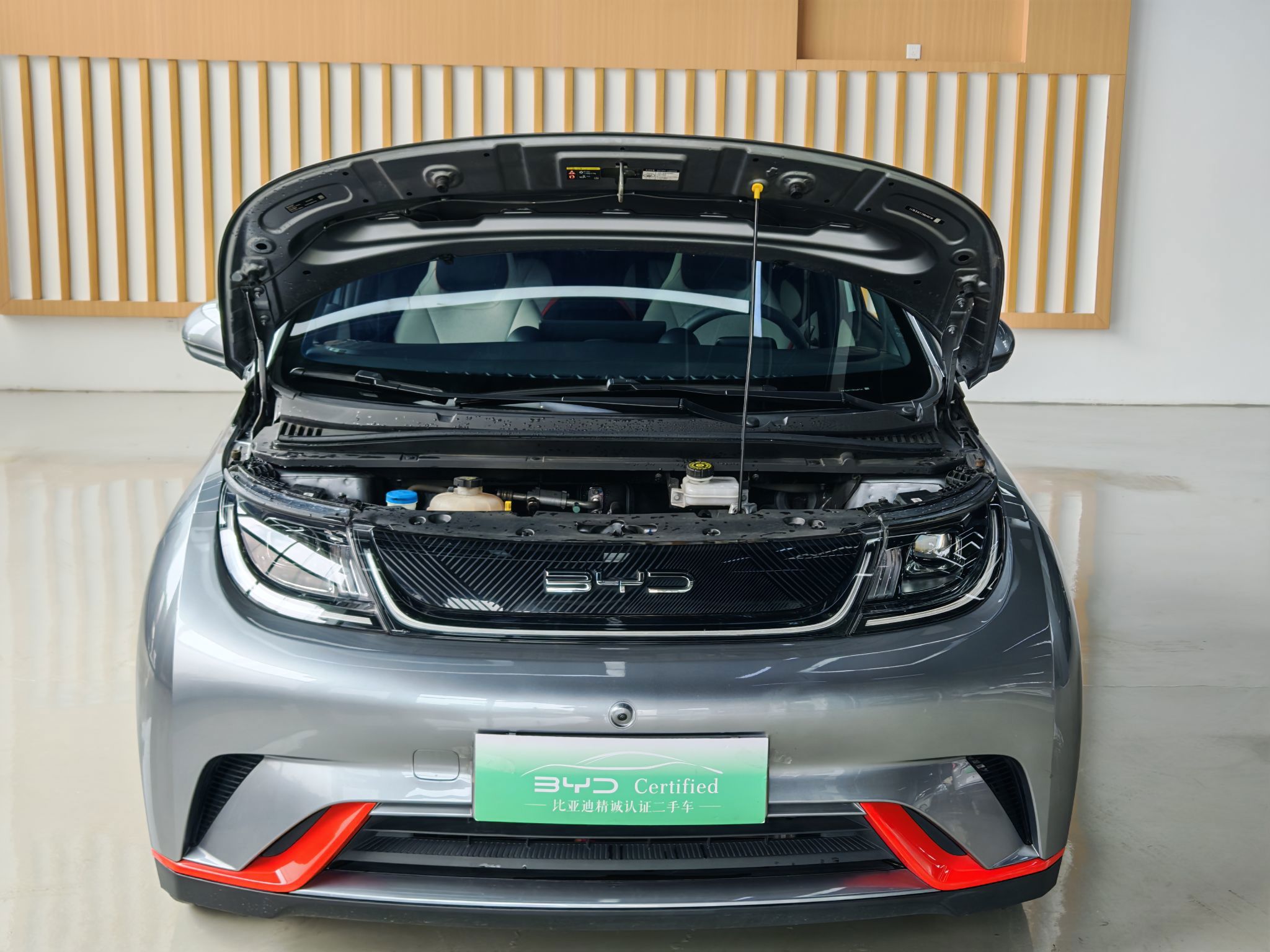 BYD Dolphin — миниатюра 16