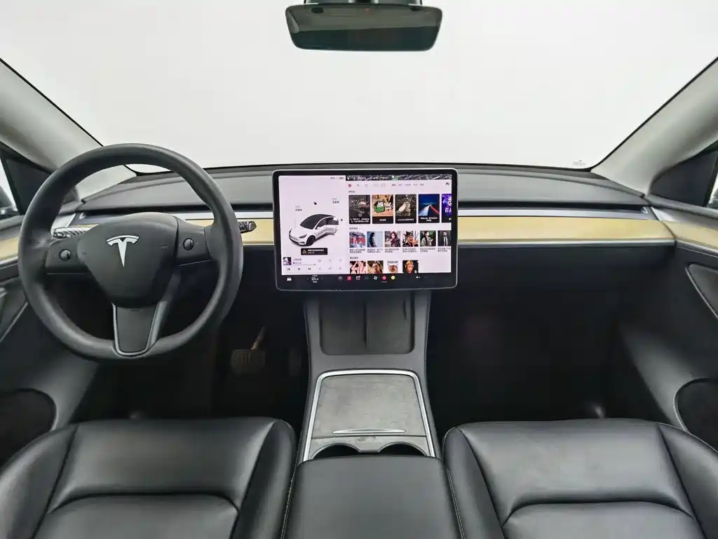 Tesla Model Y — миниатюра 5