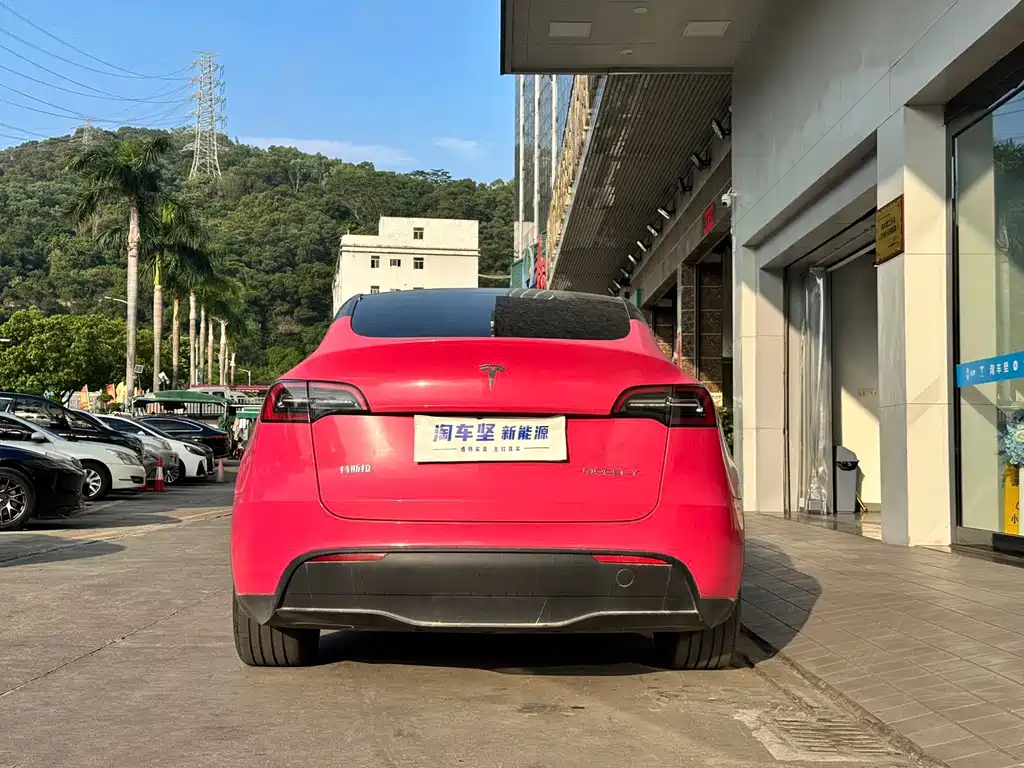 Tesla Model Y — миниатюра 5