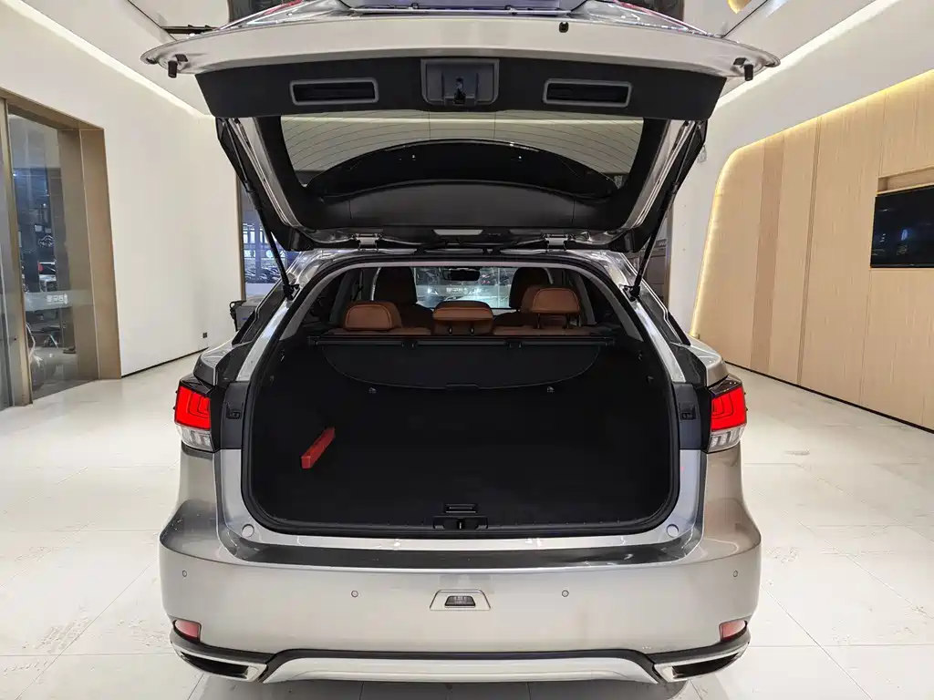 Lexus RX Facelift 300 2WD Elite Edition, фото 14