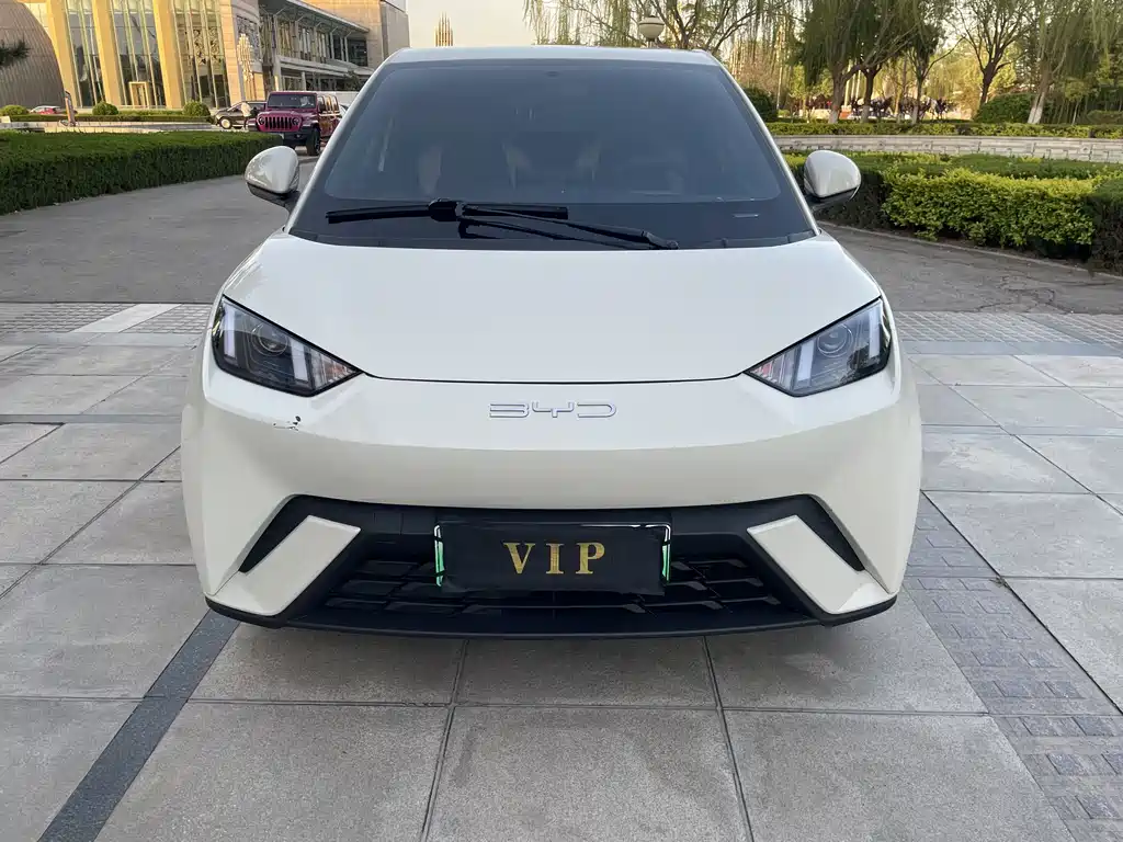 Byd Seagull 2023