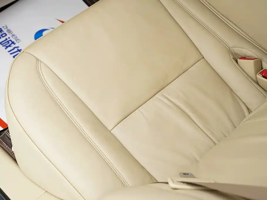 Hongqi Hongqi Shengshi — миниатюра 14