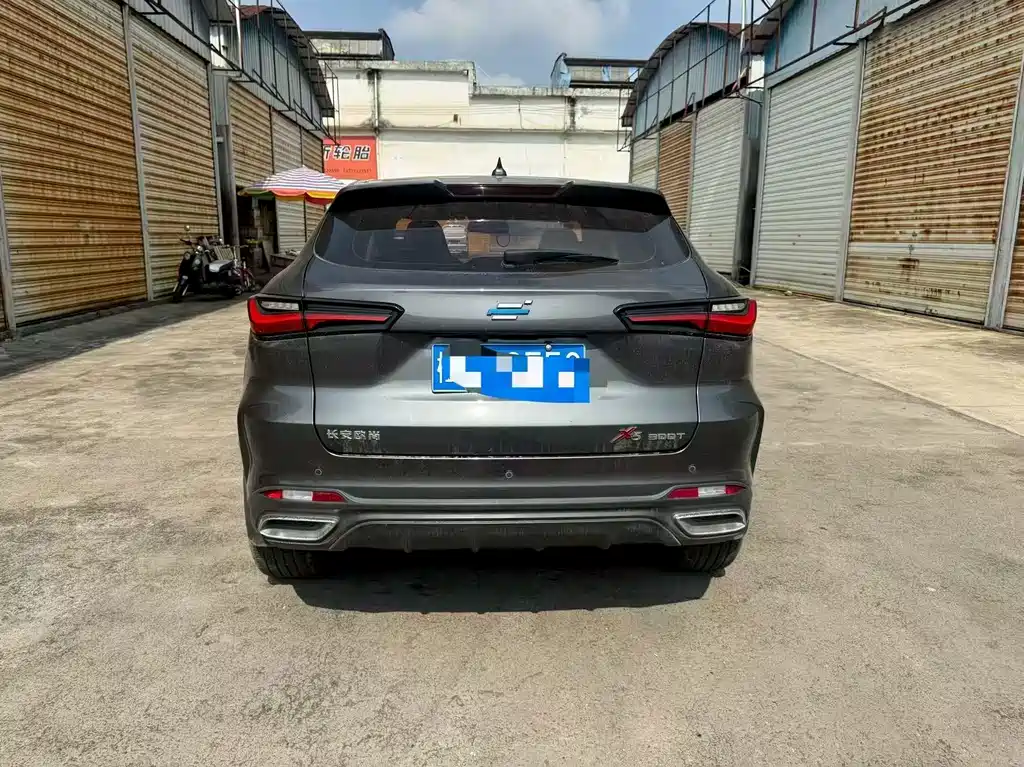 Oshan Oushang X5 — миниатюра 5