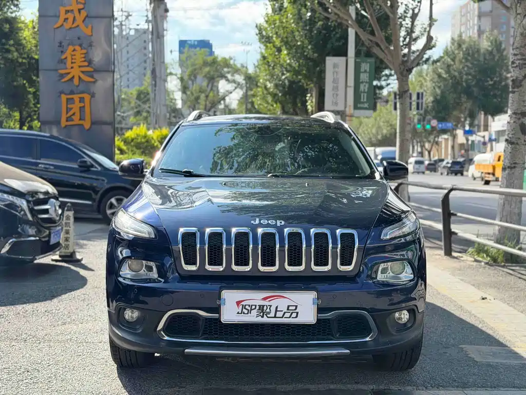 Jeep Cherokee 2.4L Professional Edition, фото 2