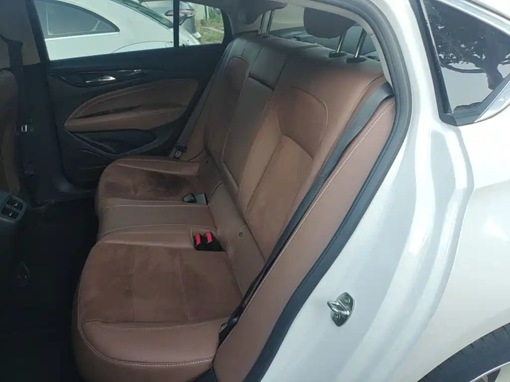 Buick Regal — миниатюра 17