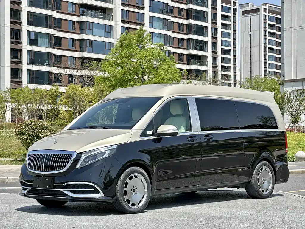 龙程汽车 龙程众骄V-Class 2022