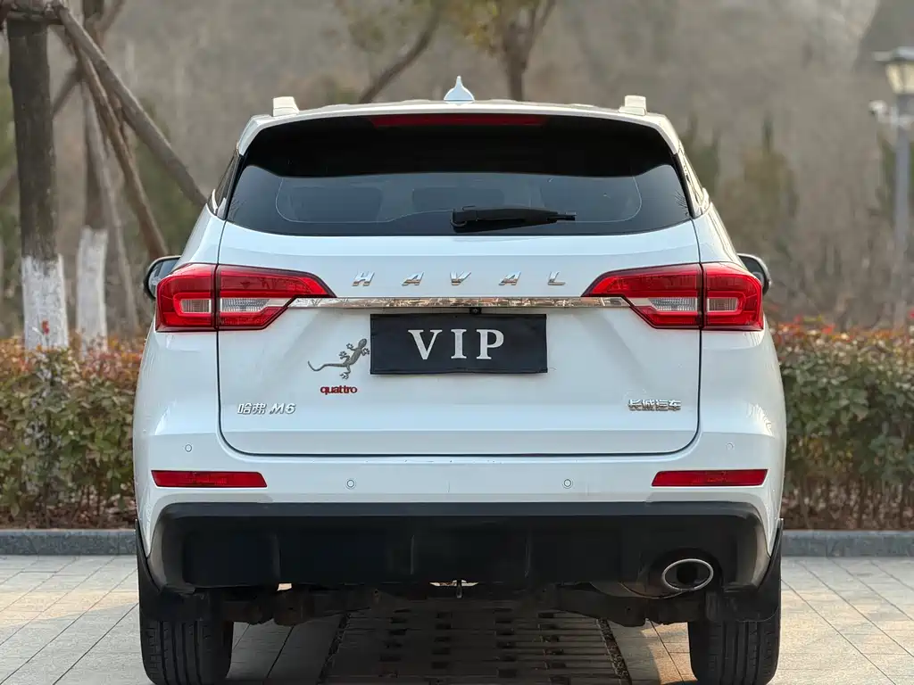 HAVAL M6