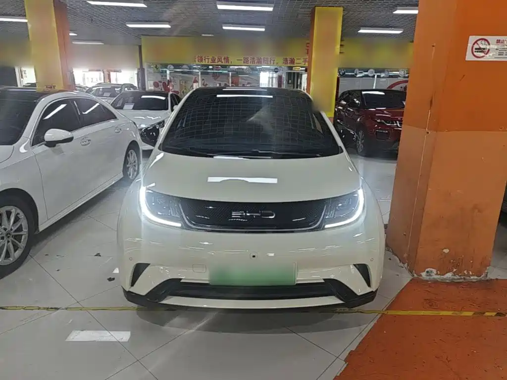 BYD Dolphin — миниатюра 3