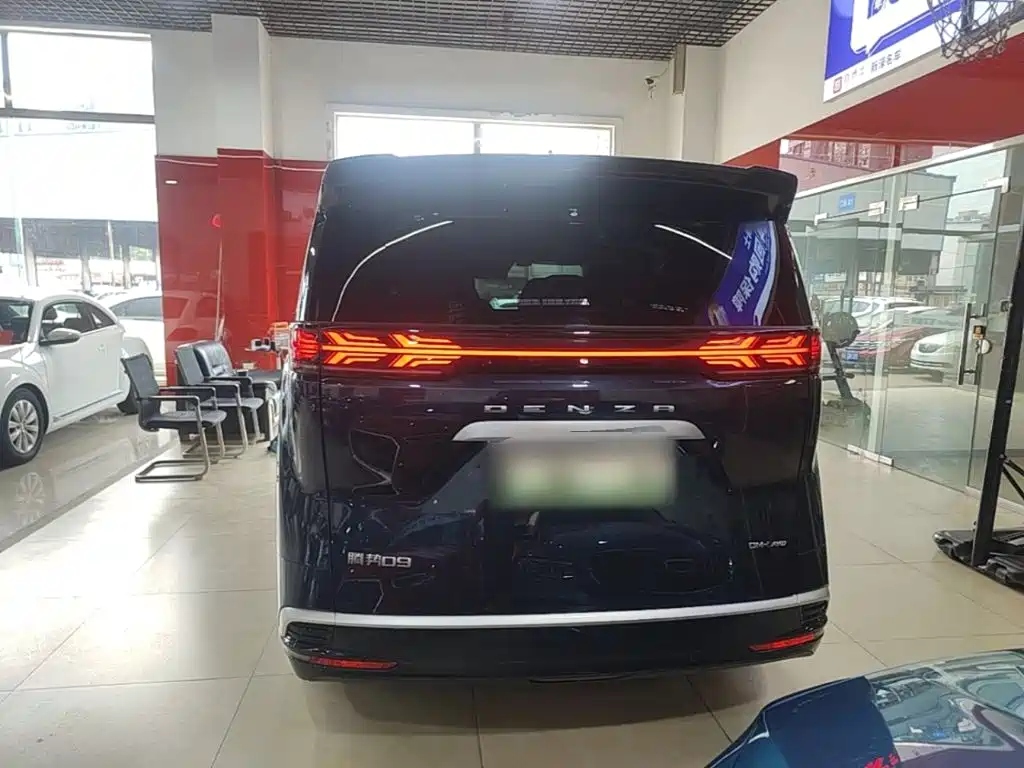 Denza Denza D9 — миниатюра 6