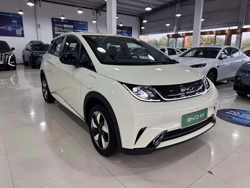 BYD Dolphin — миниатюра 3