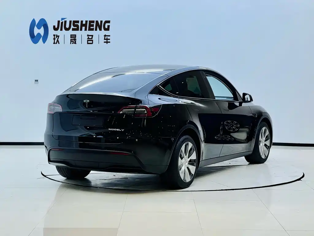 Tesla Model Y — миниатюра 16